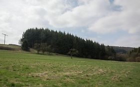 Lovely Mansion In Lirstal With Terrace